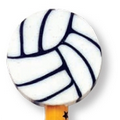 Volleyball Write-On Eraser